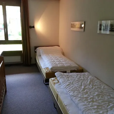 Chalet Lenk