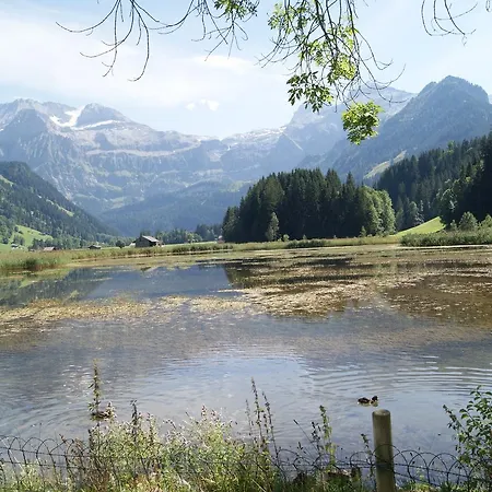 Chalet Apartmán Lenk