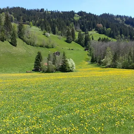 Chalet Apartment Lenk